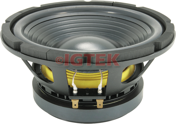 IGTEK - SUBWOOFER CIARE PROFESSIONAL PW12.00SW 2000W - 8 OHM -  32 CM 12" THE PUNISHER