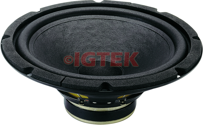 IGTEK - WOOFER CIARE HOME HW250 180 WATT MAX - 8 OHM -  25 CM / 10"