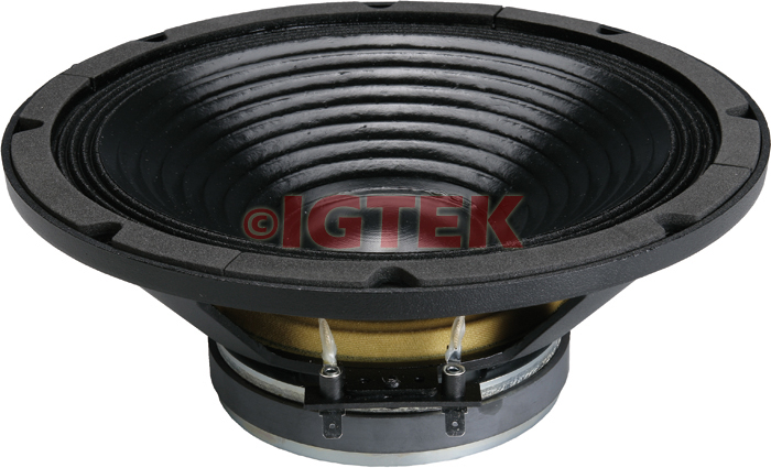 IGTEK - WOOFER CIARE PROFESSIONAL PW251 300 WATT MAX - 8 OHM -  25 CM / 10"