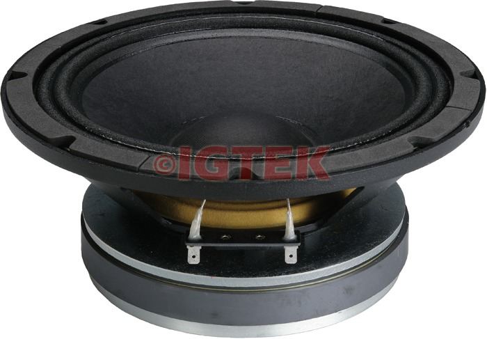 IGTEK - MID WOOFER CIARE PROFESSIONAL PW256 500 WATT MAX - 8 OHM -  25 CM / 10"