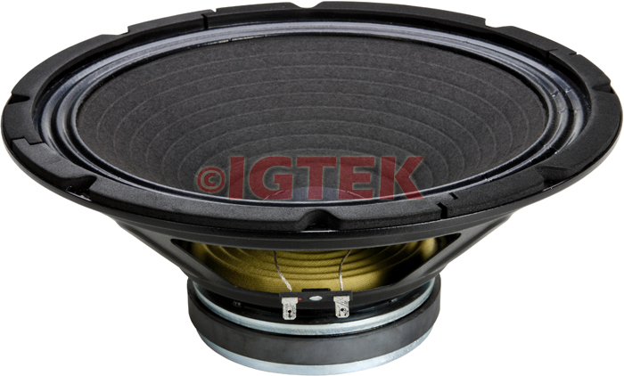 IGTEK - MID RANGE X CHITARRA CIARE PROFESSIONAL PW321 200 WATT - 8 OHM -  32 CM / 12"