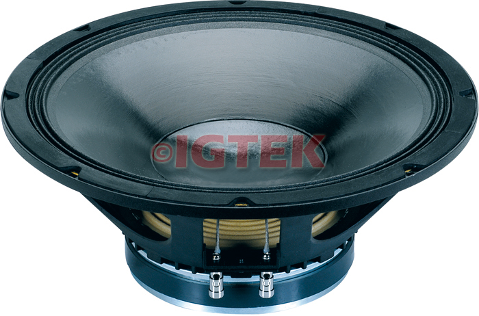 IGTEK - SUB WOOFER CIARE PROFESSIONAL PW396 800 WATT MAX - 8 OHM -  38 CM / 15