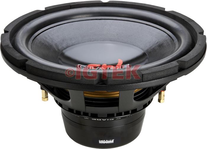 IGTEK - RICAMBIO RICONO ORIGINALE COMPLETO CIARE SPECIFICO PER SUBWOOFER CSW8000