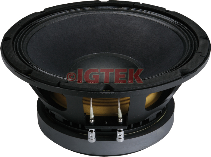 IGTEK - RICAMBIO RICONO ORIGINALE COMPLETO CIARE SPECIFICO PER SUB WOOFER CW328