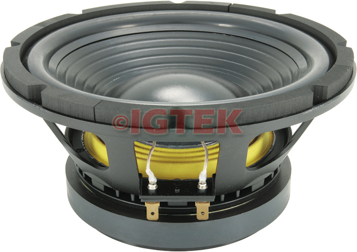 IGTEK - RICAMBIO RICONO ORIGINALE COMPLETO CIARE SPECIFICO PER SUB WOOFER PW12.00SW IGTEK - RICAMBIO RICONO ORIGINALE COMPLETO CIARE SPECIFICO PER SUB WOOFER PW12.00SW