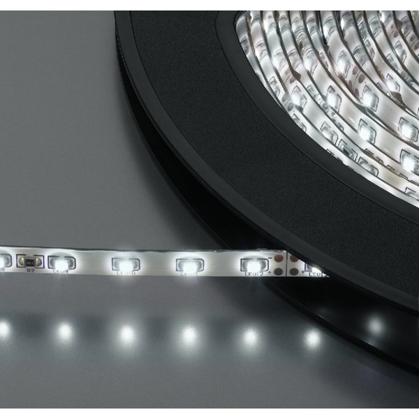 IGTEK - MONACOR LEDS-10MP/WS STRISCIA FLESSIBILE 300 LED 10 METRI X 10MM 24V BIANCO