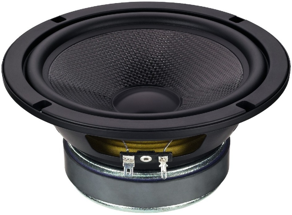 IGTEK - IMG STAGE LINE SP-6/100PRO MID WOOFER 16,5CM 150W 4 OHM SPL 93DB HI-FI CAR HOME