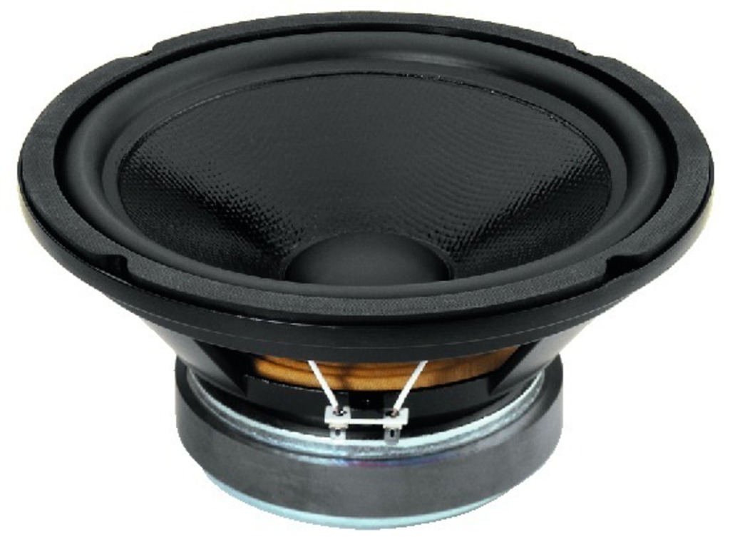 IGTEK - NUMBER ONE SPH-250CTC SUBWOOFER WOOFER 25CM  2X150 WATT 8+8 OHM TOP HI-FI HOME